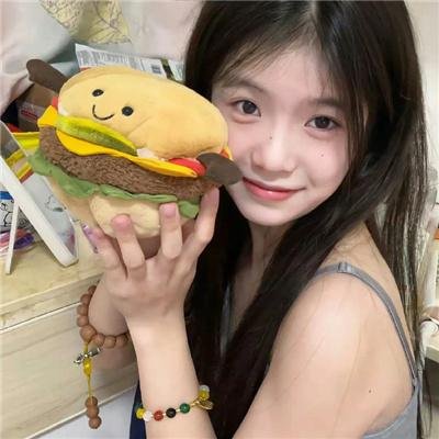 夏日的玫瑰